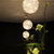 Bild 19